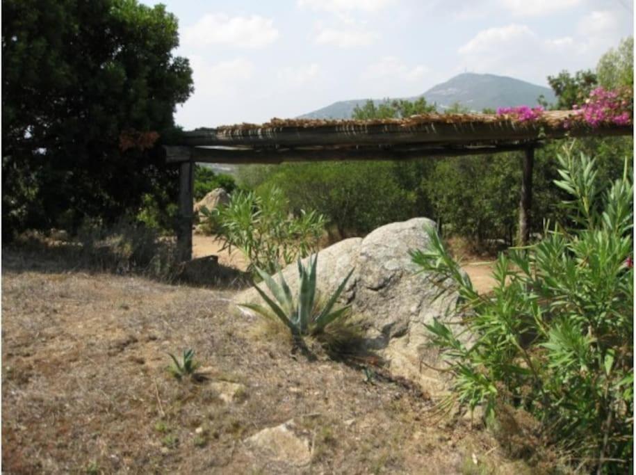 Villa Sara Olbia Exteriér fotografie