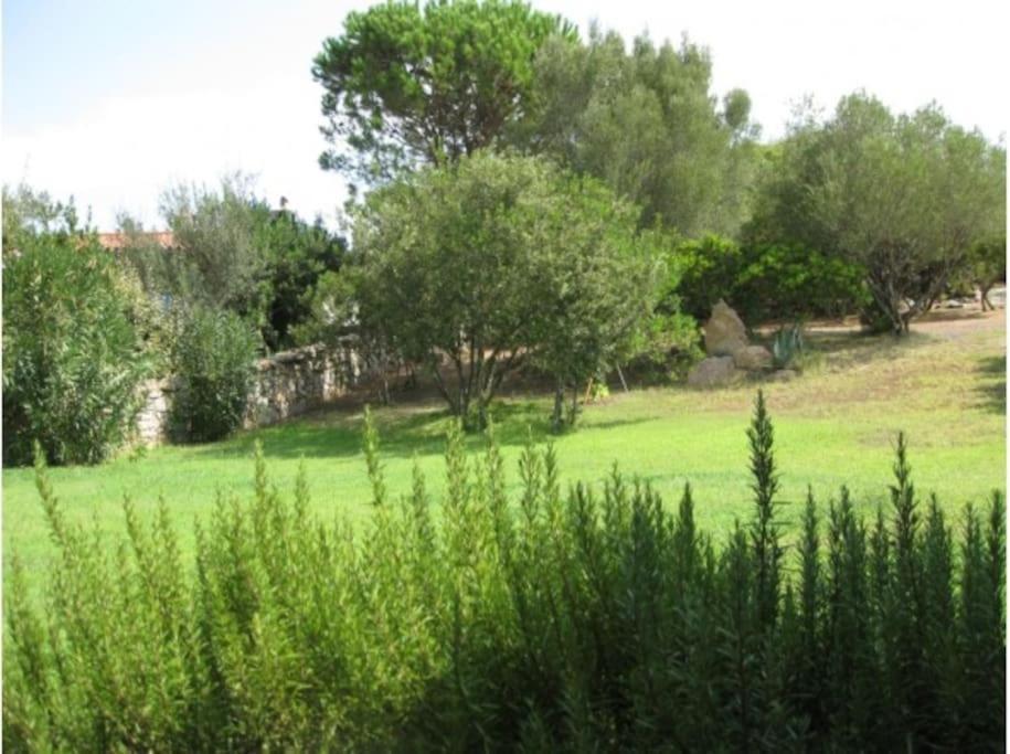 Villa Sara Olbia Exteriér fotografie