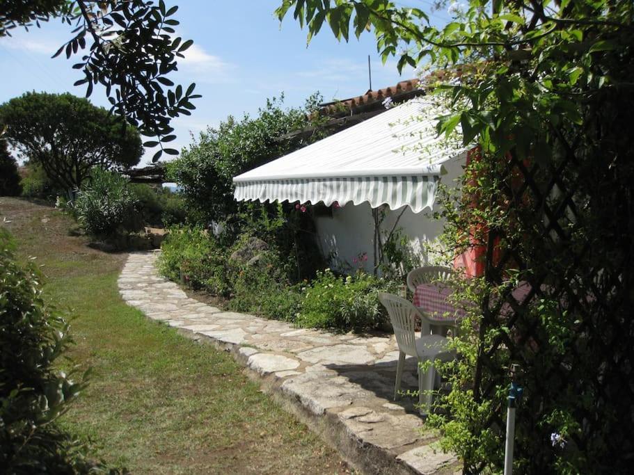 Villa Sara Olbia Exteriér fotografie